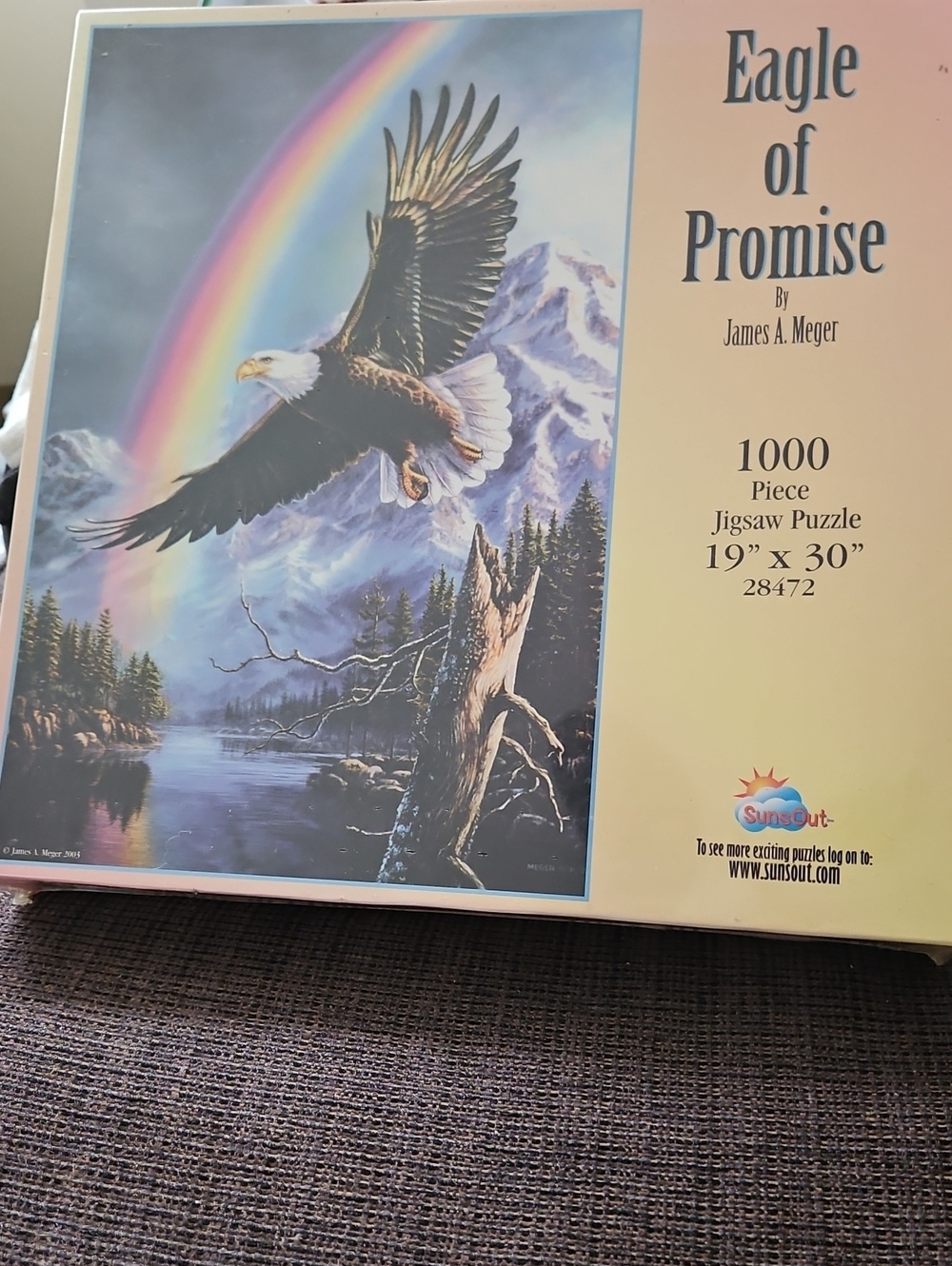 SunsOut Eagle Of Promise By James A Meger Jigsaw Puzzle 1000 Pieces